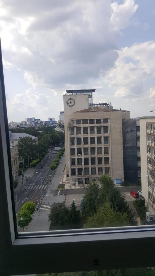 Calea Victoriei Studio Bukurešť Exteriér fotografie