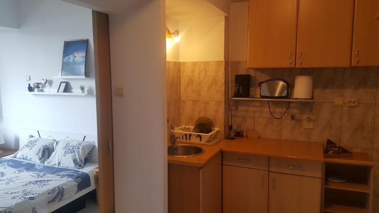 Calea Victoriei Studio Bukurešť Exteriér fotografie